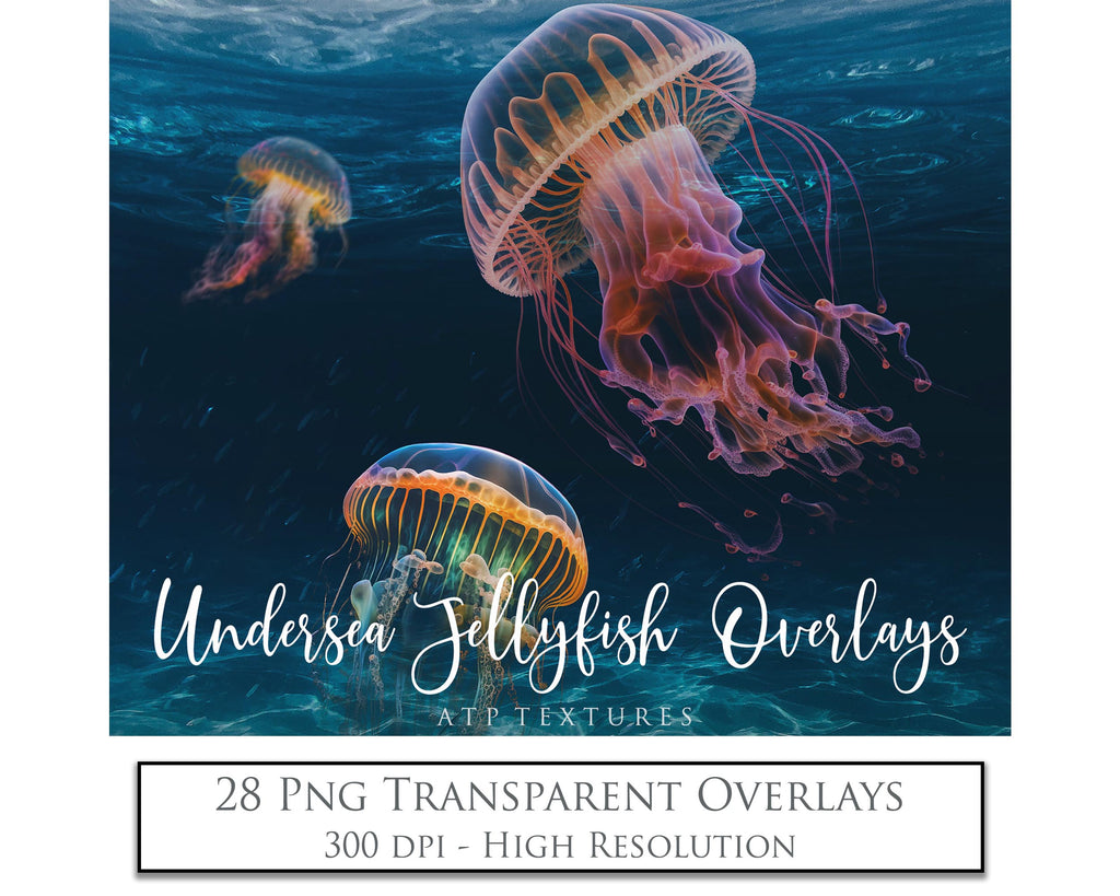 Png Overlays for photographer and digital artists. Jellyfish Overlays, Bubble Overlays, fine art photo overlays by ATP textures. High resolution, 300dpi.