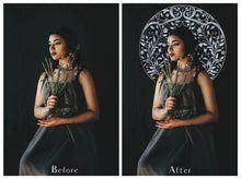 Load image into Gallery viewer, STUDIO DECO CIRCLE - SILVER - Background Digital Overlays
