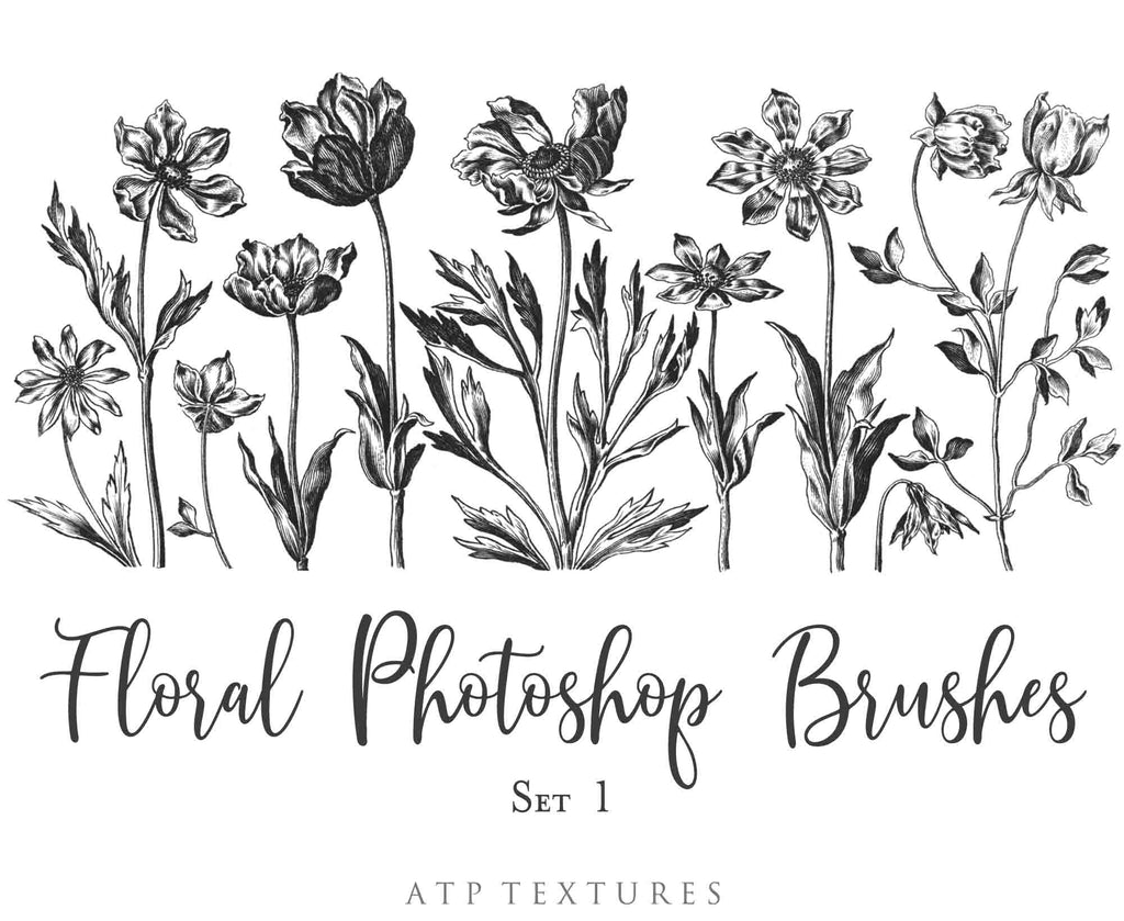 Photoshop Brushes for Photography, Scrapbooking and Digital Art. 45 Beautiful Cochin Floral Brushes.High resolution and perfect for printing without any loss in quality.These are created from beautiful, aged medieval prints. ATP Textures