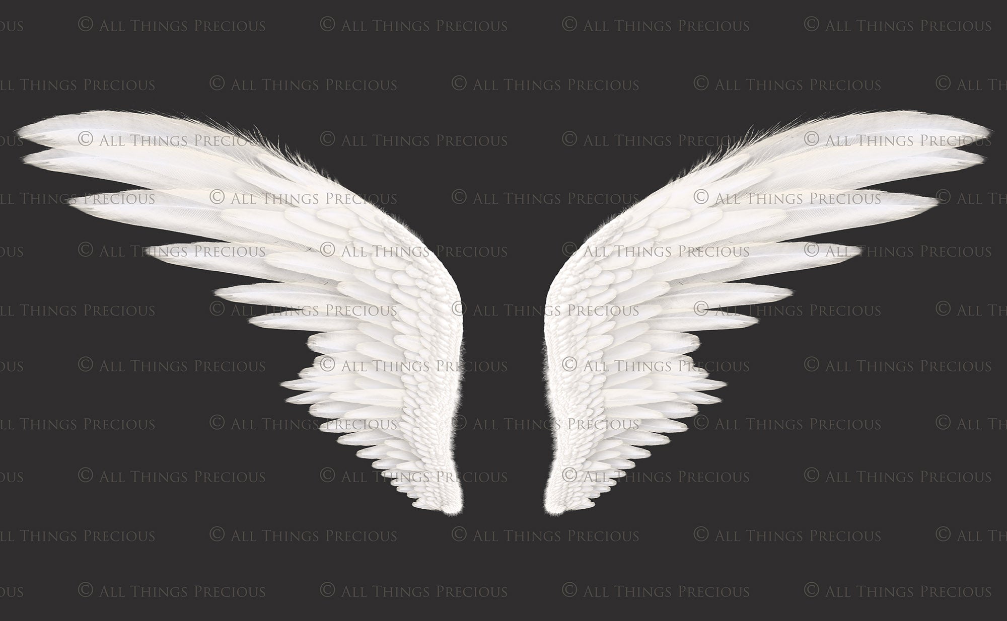 Png clipart, Angel Wings, Digital Overlays, Fine Art, Photography, Photoshop edits, Digital Art, Angel wing overlays, High resolution, Angel Clipart, Wing Clipart by ATP textures.
