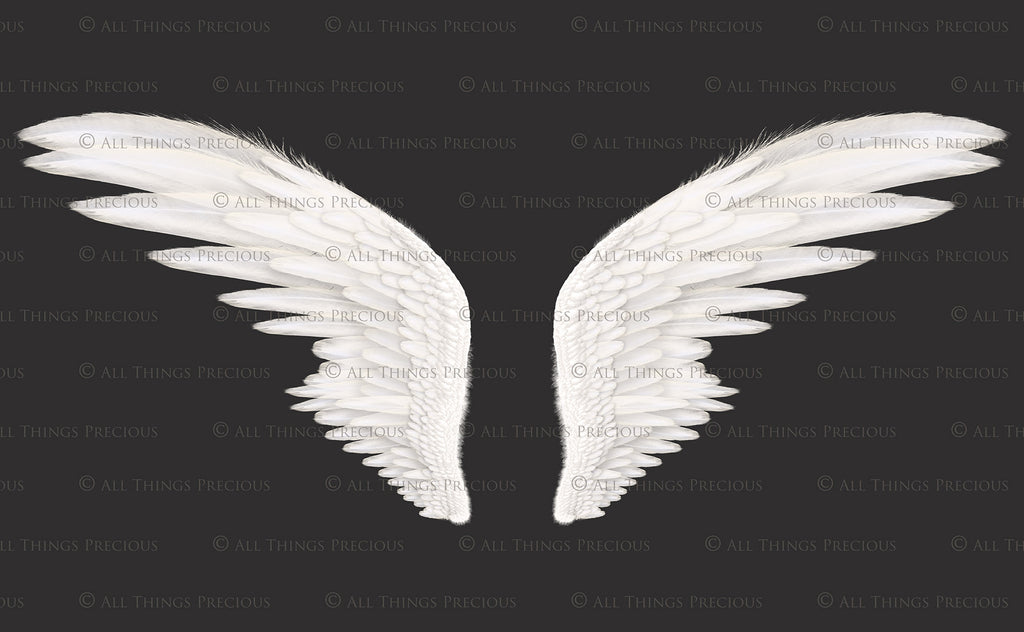 Png clipart, Angel Wings, Digital Overlays, Fine Art, Photography, Photoshop edits, Digital Art, Angel wing overlays, High resolution, Angel Clipart, Wing Clipart by ATP textures.