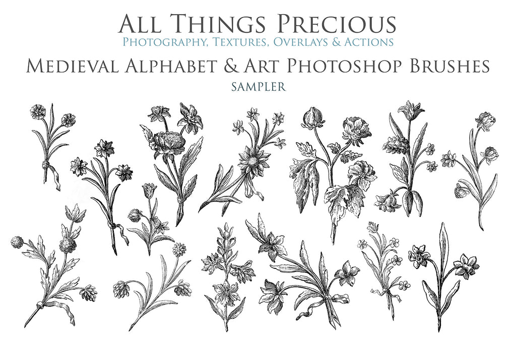 Photoshop brushes for photography and digital design.  Alphabet letters from medieval images. Flowers and bugs. High resolution digital files.  ATP Textures 