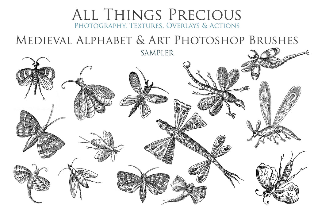 Photoshop brushes for photography and digital design.  Alphabet letters from medieval images. Flowers and bugs. High resolution digital files.  ATP Textures 