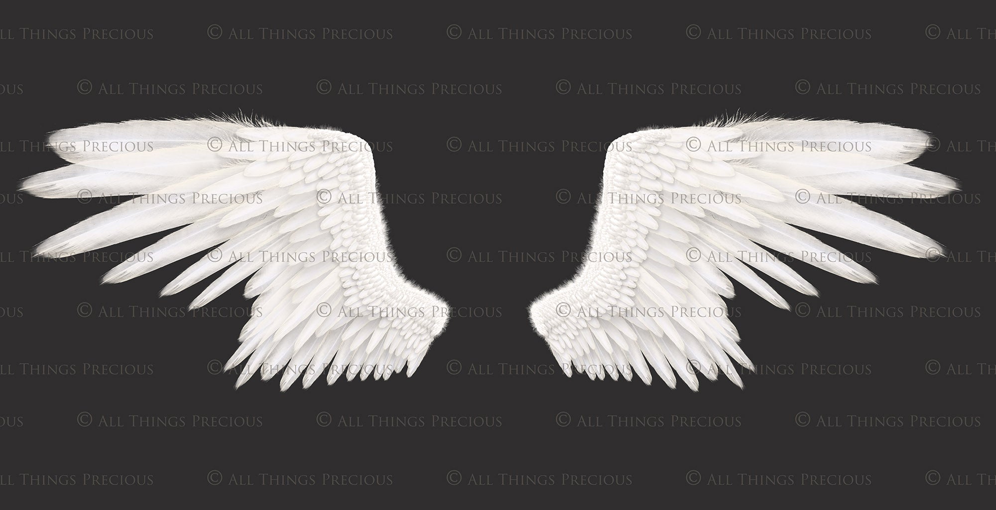 Png clipart, Angel Wings, Digital Overlays, Fine Art, Photography, Photoshop edits, Digital Art, Angel wing overlays, High resolution, Angel Clipart, Wing Clipart by ATP textures.