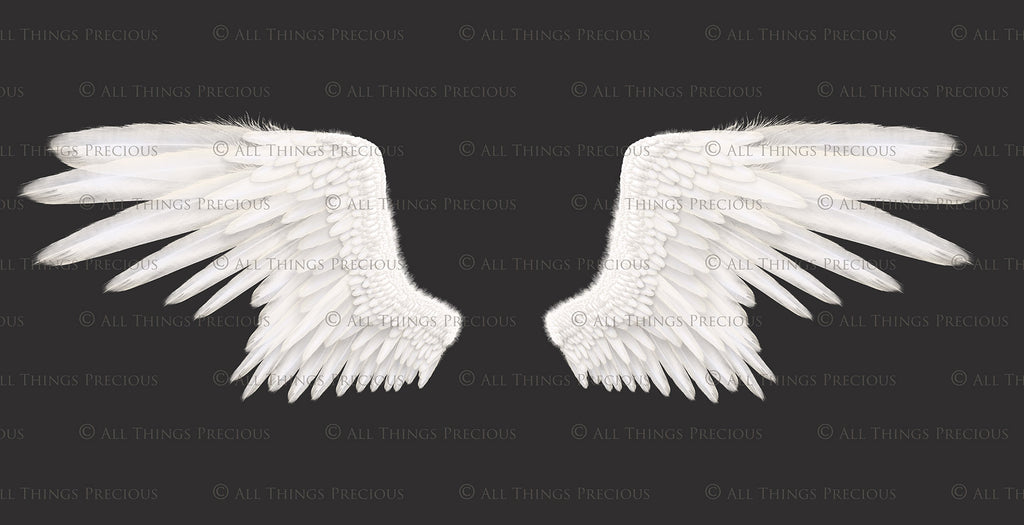 Png clipart, Angel Wings, Digital Overlays, Fine Art, Photography, Photoshop edits, Digital Art, Angel wing overlays, High resolution, Angel Clipart, Wing Clipart by ATP textures.