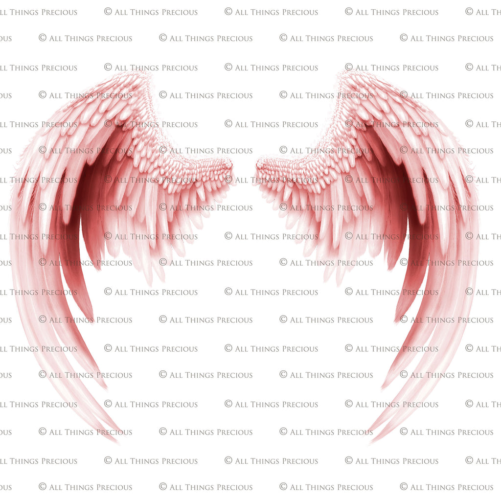 Png clipart, Angel Wings, Digital Overlays, Fine Art, Photography, Photoshop edits, Digital Art, Angel wing overlays, High resolution, Angel Clipart, Wing Clipart by ATP textures.