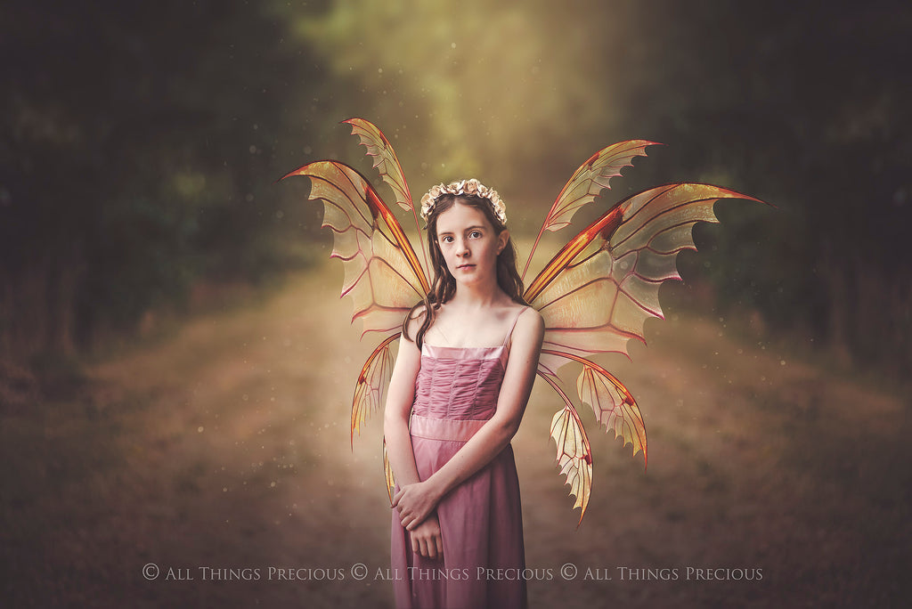 Digital Faery Wing Overlays. Png overlays for photoshop. Photography editing. High resolution, 300dpi fairy wings. Overlays for photography. Digital stock and resources. Graphic design. Fairy Photos. Colourful Fairy wings. Faerie Wings. ATP Textures. Overlays. Actions, Textures, Photo Resources, Photoshop. 