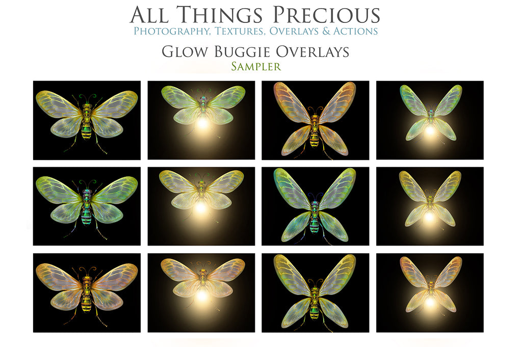 Png overlays for photography and digital art. Firefly overlays, glow overlays, photo overlays, png digital overlays, high resolution overlays for photographers by ATP textures.