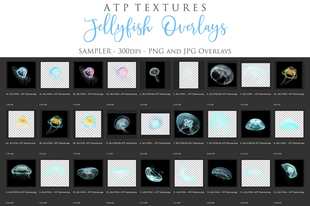 Png Overlays for photographer and digital artists. Jellyfish Overlays, Bubble Overlays, fine art photo overlays by ATP textures. High resolution, 300dpi.