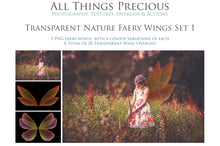 Load image into Gallery viewer, BUNDLE - 80 FAIRY WING OVERLAYS - Set 3
