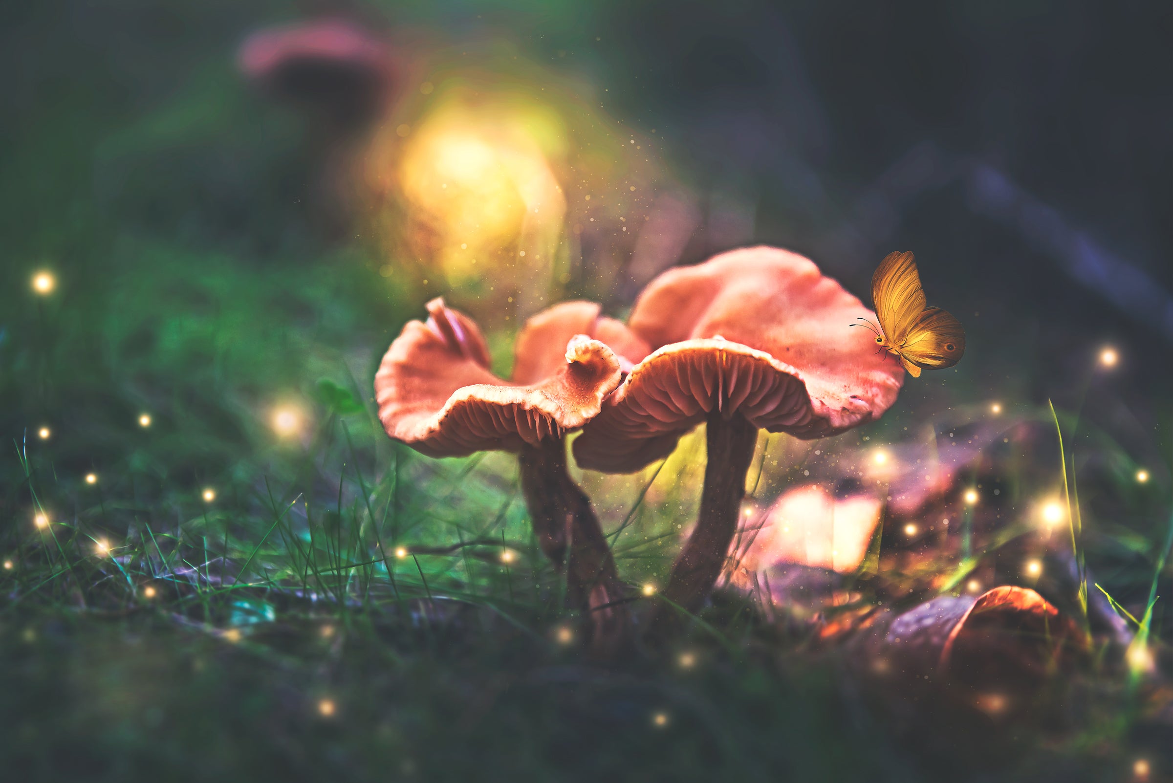 Fairy Glow overlays, high resolution, 300dpi, fairy sparkles, digital overlays, png overlay, Atp textures, photo editing, Christmas overlay, sun flare