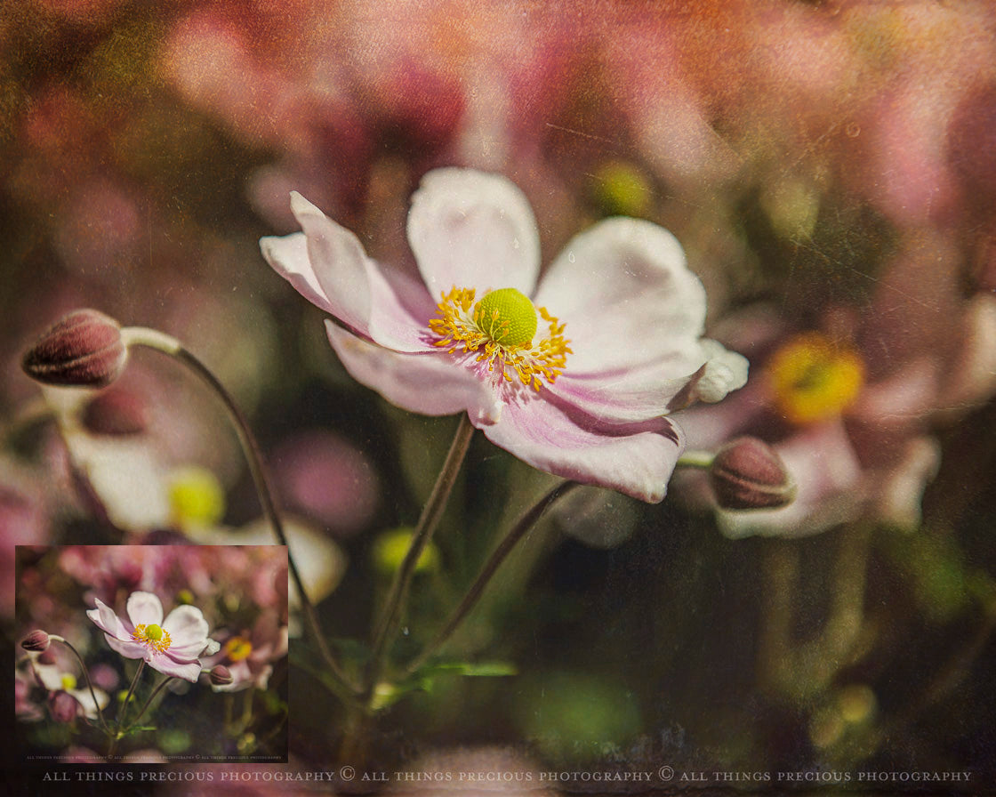 Fine Art Textures. For photography or print as backdrops. High resolution download files. Grunge, Warm, Light, Digital Add Ons. Canvas, Dark, Painterly, Color design. Digital Background Jpeg overlay. Scrapbooking Paper, Printable Wall Art, Photoshop photography editing Graphic Assets. by ATP textures.