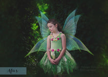 Load image into Gallery viewer, 20 Png FAIRY WING Overlays Set 5
