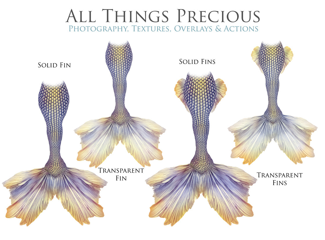 MERMAID TAILS Set 10 - Digital Overlays