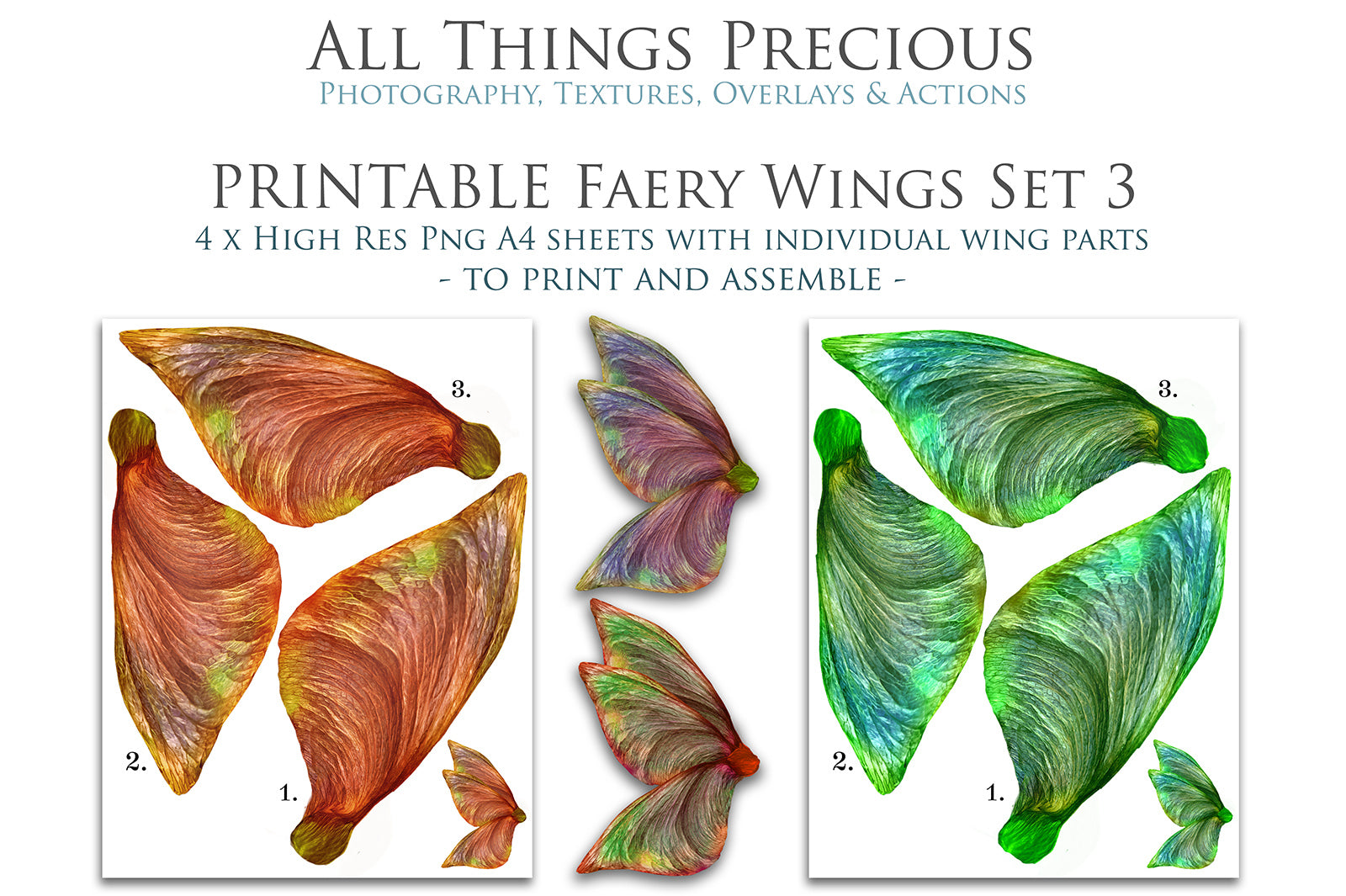 PRINTABLE FAIRY WINGS - Set 3