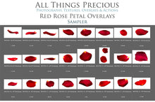 Load image into Gallery viewer, RED ROSE PETAL Digital Overlays
