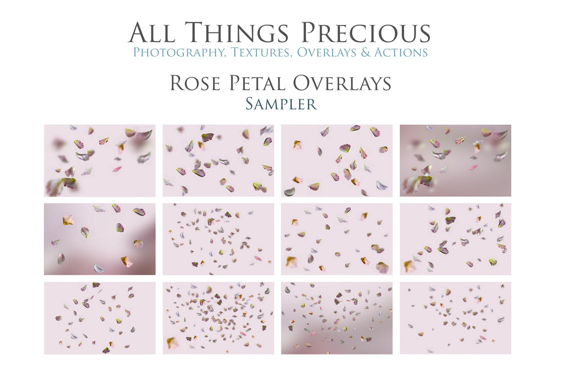 Sweet floaty Red Rose Petals! Png clipart confetti, Overlays for photographers, Photoshop Overlay, digital edits, photoshop. Photography Editing graphic assets. Red, gold, falling valentine love. Wedding, Couples Photo. High resolution, ATP textures. 