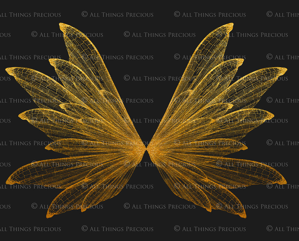 Digital Faery Wing Overlays! Fairy wings, Png overlays for photoshop. Photography editing. High resolution, 300dpi fairy wings. Overlays for photography. Digital stock and resources. Graphic design. Fairy Photos. Colourful Fairy wings. Faerie Wings.