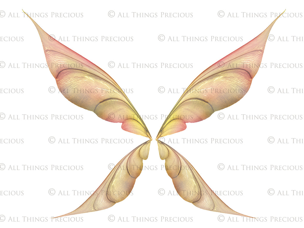 Digital Fairy Wings Overlays clipart. Png transparent see through files for photoshop. Butterfly Angel, Color, Print Photography editing. High resolution, 300dpi. Printable, Photography Graphic design assets, add on stock resources. Magical Scrapbooking design. Faery Photographer edit. Colorful Big Bundle. ATP Textures