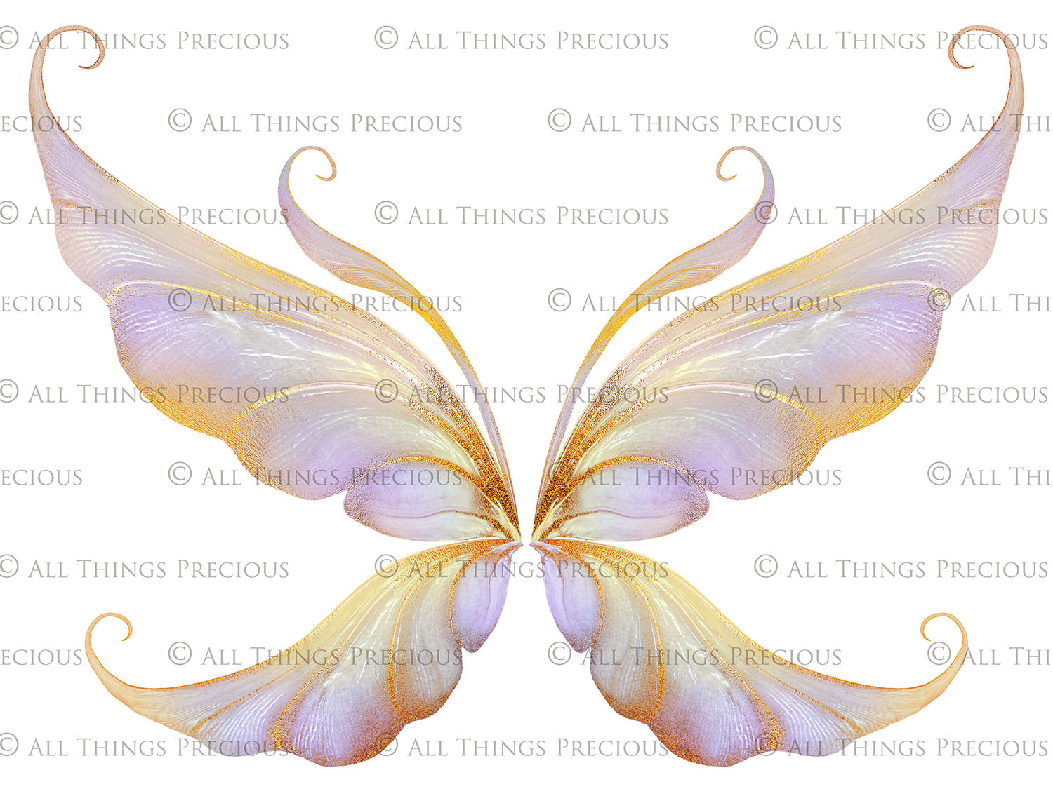 Digital Overlays for Photographers, Graphic design, scrapbooking and creatives.. Fairy Wings. High resolution, fine art digital assets for creating fantasy art.  Png overlay with transparent background. Magical Edit. Png Photo editing art assets.