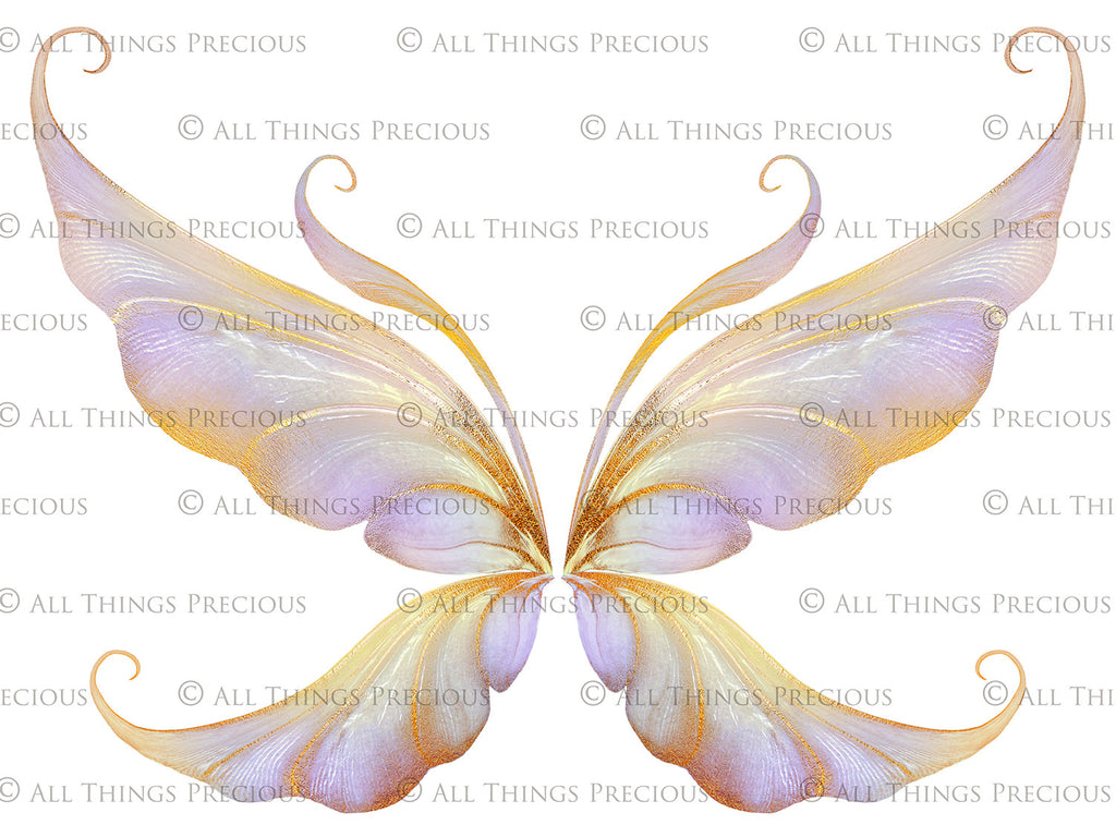 Digital Overlays for Photographers, Graphic design, scrapbooking and creatives.. Fairy Wings. High resolution, fine art digital assets for creating fantasy art.  Png overlay with transparent background. Magical Edit. Png Photo editing art assets.