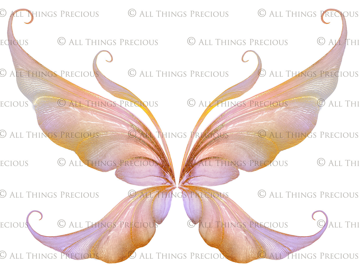 Digital Faery Wing Overlays! Fairy wings, Png overlays for photoshop. Photography editing. High resolution, 300dpi fairy wings. Overlays for photography. Digital stock and resources. Graphic design. Fairy Photos. Colourful Fairy wings. Faerie Wings.
