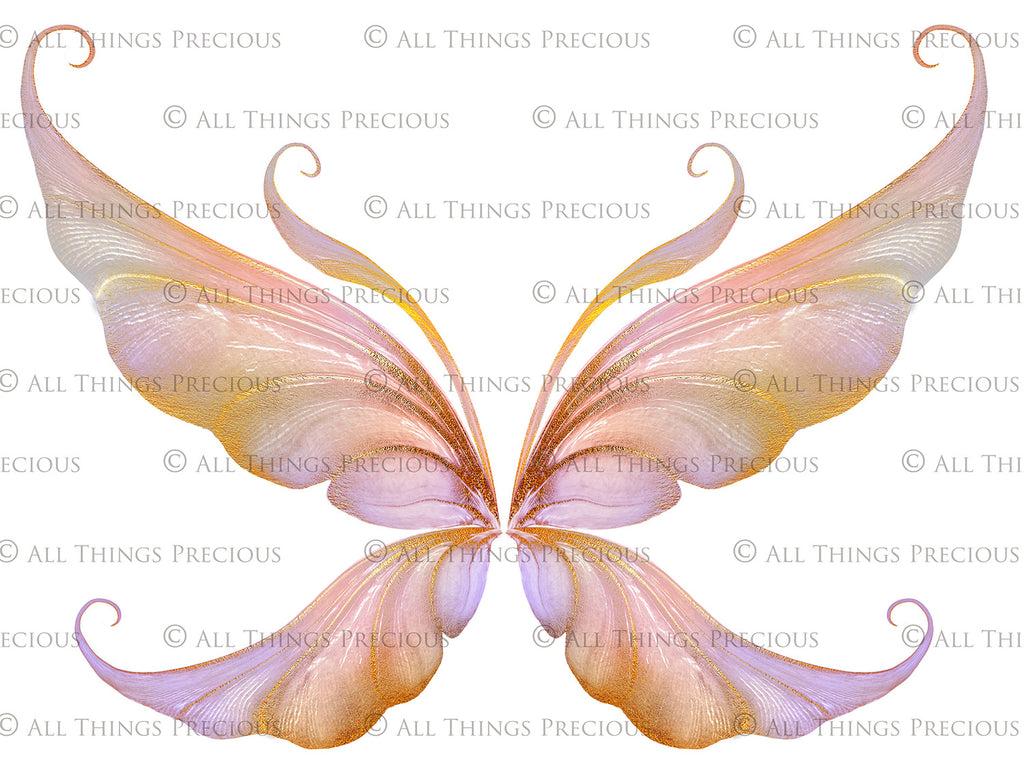 Digital Faery Wing Overlays! Fairy wings, Png overlays for photoshop. Photography editing. High resolution, 300dpi fairy wings. Overlays for photography. Digital stock and resources. Graphic design. Fairy Photos. Colourful Fairy wings. Faerie Wings.