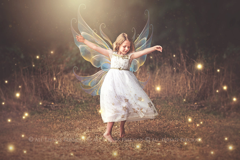 Digital Overlays for Photographers, Graphic design, scrapbooking and creatives.. Fairy Wings. High resolution, fine art digital assets for creating fantasy art.  Png overlay with transparent background. Magical Edit. Png Photo editing art assets.