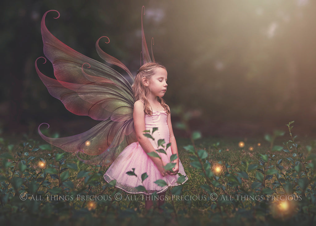 Digital Fairy Wings Overlays clipart. Png transparent see through files for photoshop. Butterfly Angel, Color, Print Photography editing. High resolution, 300dpi. Printable, Photography Graphic design assets, add on stock resources. Magical Scrapbooking design. Faery Photographer edit. Colorful Big Bundle. ATP Textures