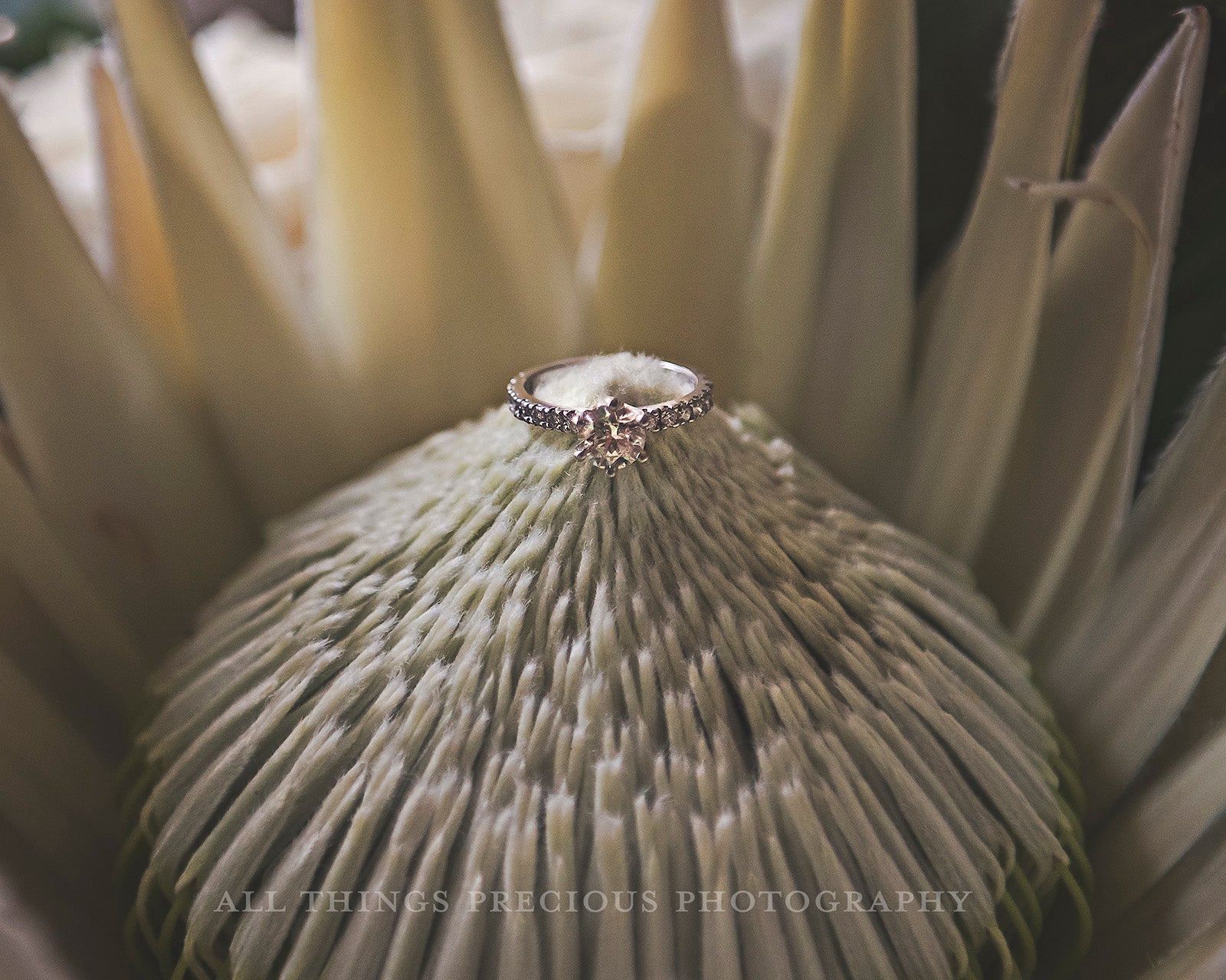 Photoshop Actions for Photography Edits. PS atn files are compatible with all versions of PS CS6. Photoshop Actions for professional photographers, photo edits and Instagram influencers. Warm, Rich, Light, Matte. For Wedding, Newborn, Studio Photography. By ATP Textures