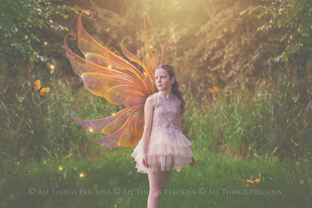 Digital Overlays for Photographers, Graphic design, scrapbooking and creatives.. Fairy Wings. High resolution, fine art digital assets for creating fantasy art.  Png overlay with transparent background. Magical Edit. Png Photo editing art assets.