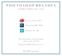 Load image into Gallery viewer, FLOATY FEATHERS Digital Overlays with Photoshop Brushes
