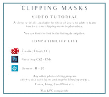 Load image into Gallery viewer, PAINT PLATTER CLIPPING MASKS / Digital OVERLAYS
