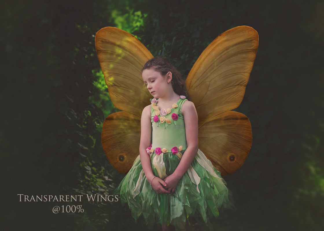 Fairy Wing & Butterfly Overlays For Photographers, Photoshop, Digital art and Creatives. Butterfly fairy wings, Png overlays for photoshop. Photography editing. High resolution, 300dpi. Overlay for photography. Digital stock and resources. Graphic design. Wings for Photos. Colourful Faerie Wings. Butterflies. Overlays for Edits.
