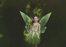Load image into Gallery viewer, PNG Animated FAERY WINGS - Set 3
