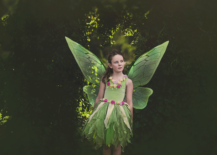 PNG Animated FAERY WINGS - Set 3