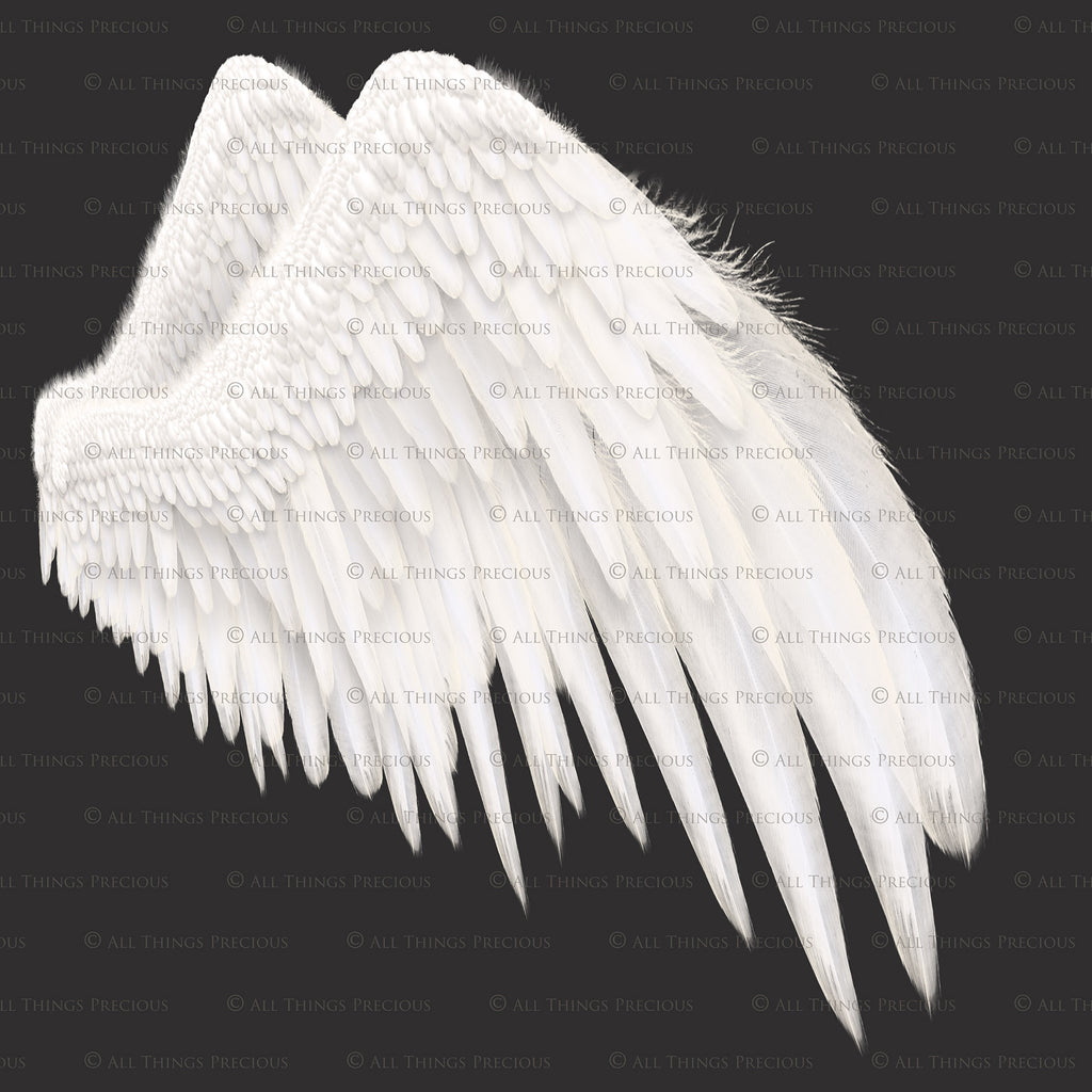 Png clipart, Angel Wings, Digital Overlays, Fine Art, Photography, Photoshop edits, Digital Art, Angel wing overlays, High resolution, Angel Clipart, Wing Clipart by ATP textures.