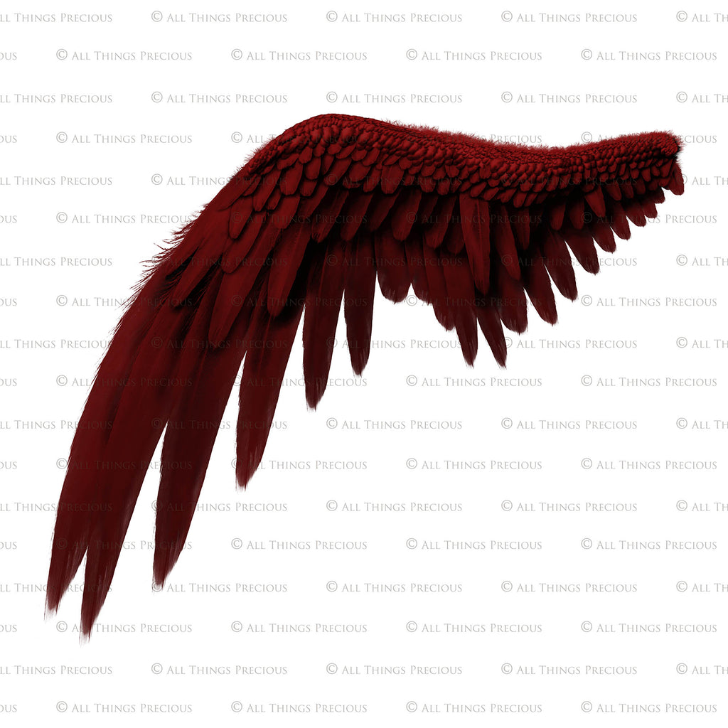 Png Angel Wings, Png Wings, Wing Overlays, Angel Clipart, Clipart wings, Png Overlays, Photo Editing, Photoshop, High Resolution, ATP textures.