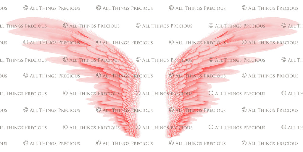 Png clipart, Angel Wings, Digital Overlays, Fine Art, Photography, Photoshop edits, Digital Art, Angel wing overlays, High resolution, Angel Clipart, Wing Clipart by ATP textures.