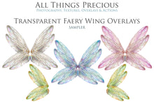 Load image into Gallery viewer, BUNDLE - 80 FAIRY WING OVERLAYS - Set 10
