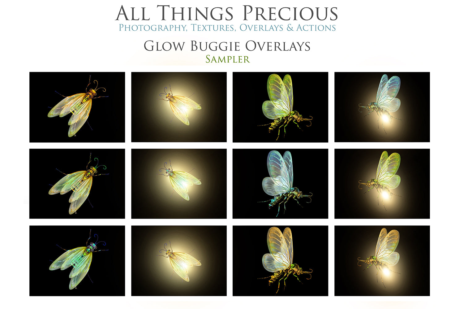 Png overlays for photography and digital art. Firefly overlays, glow overlays, photo overlays, png digital overlays, high resolution overlays for photographers by ATP textures.