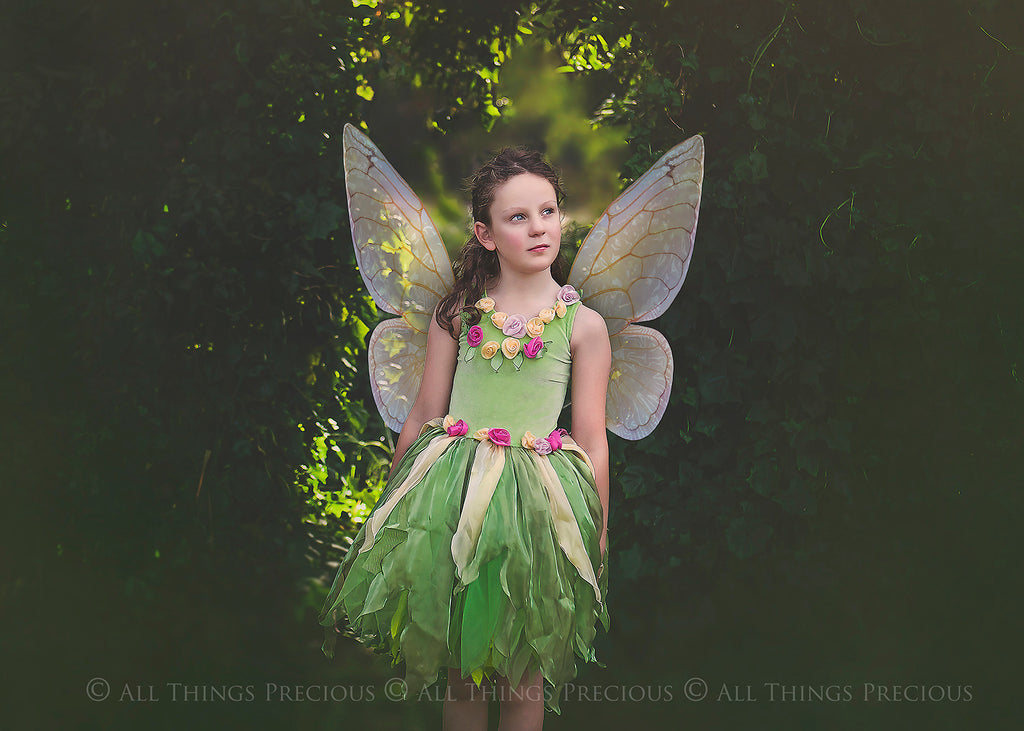 Digital Overlays for Photographers, Graphic design, scrapbooking and creatives.. Fairy Wings. High resolution, fine art digital assets for creating fantasy art.  Png overlay with transparent background. Magical Edit. Png Photo editing art assets.