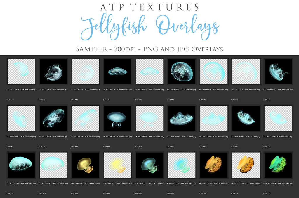 Png Overlays for photographer and digital artists. Jellyfish Overlays, Bubble Overlays, fine art photo overlays by ATP textures. High resolution, 300dpi.