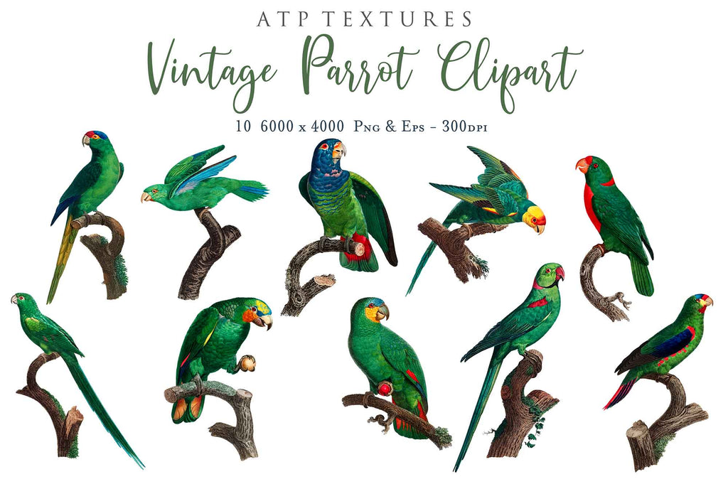 ATP Textures