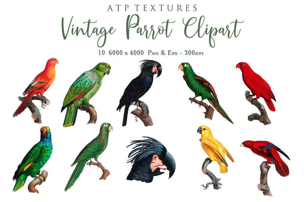 ATP Textures