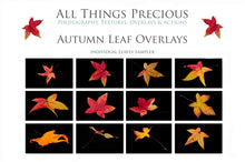 Load image into Gallery viewer, AUTUMN / FALL LEAF OVERLAYS Digital Overlays
