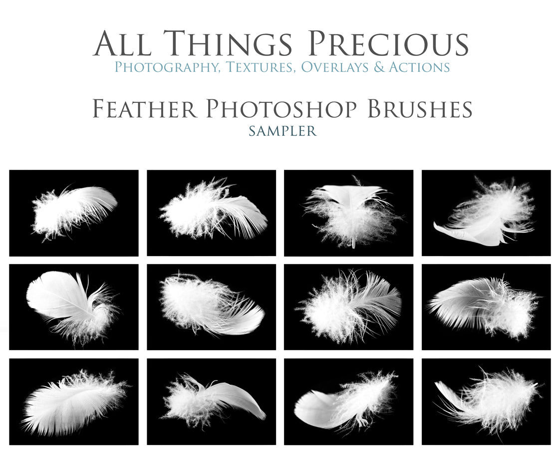 High Resolution Overlays for Photographers, Digital Art and Scrapbooking.Gorgeous clipart Feathers! Photoshop Photography. Fine art realistic. In high resolution, perfect for your next edit or project! Png graphic photography assets. Sublimation art. ATP Textures