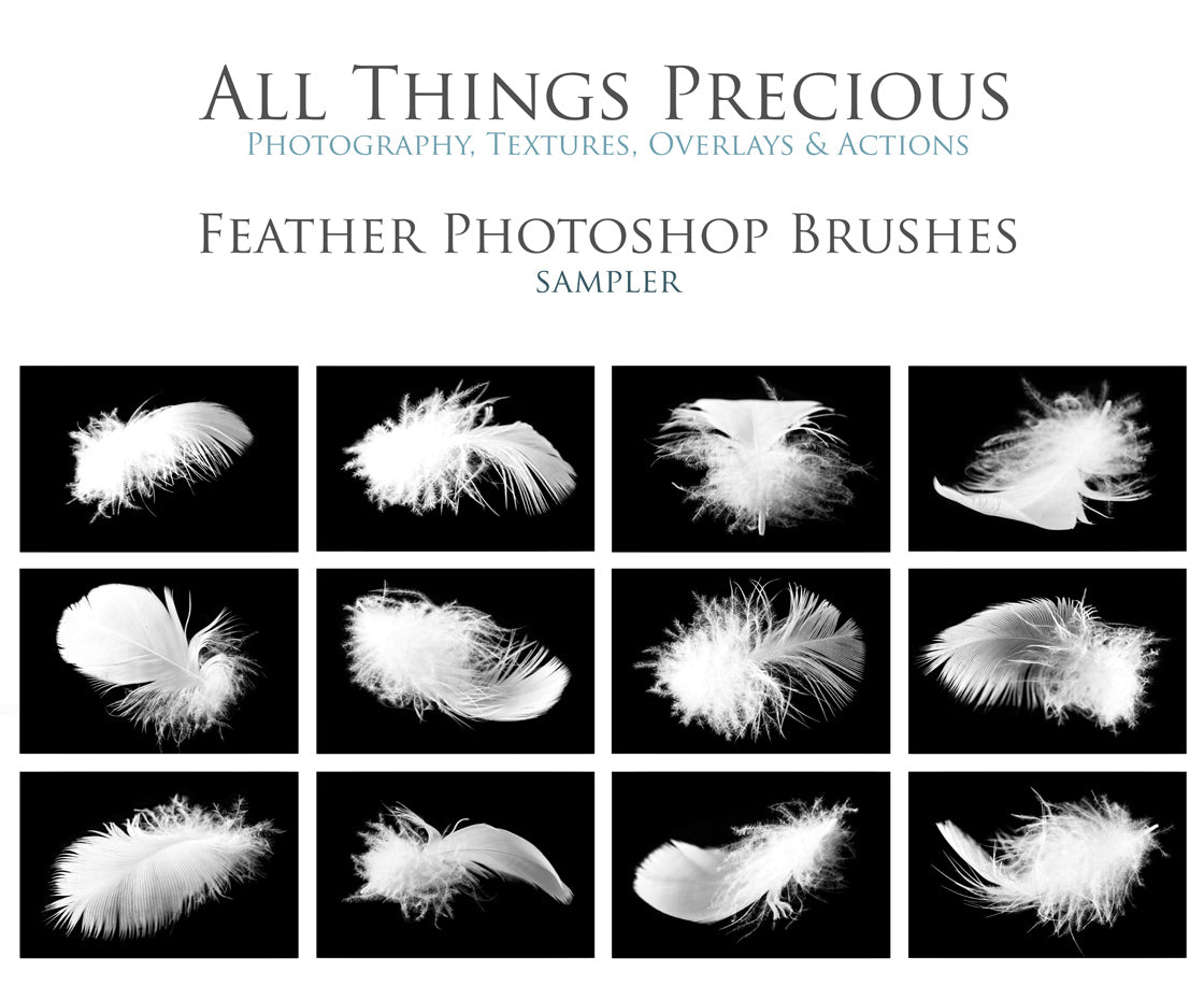 Floaty feather PS brushes for photography and digital design. Digital Stamps for scrapbooking, photoshop and graphic design. Realistic photography. Assets and Add ons. High resolution. ATP Textures