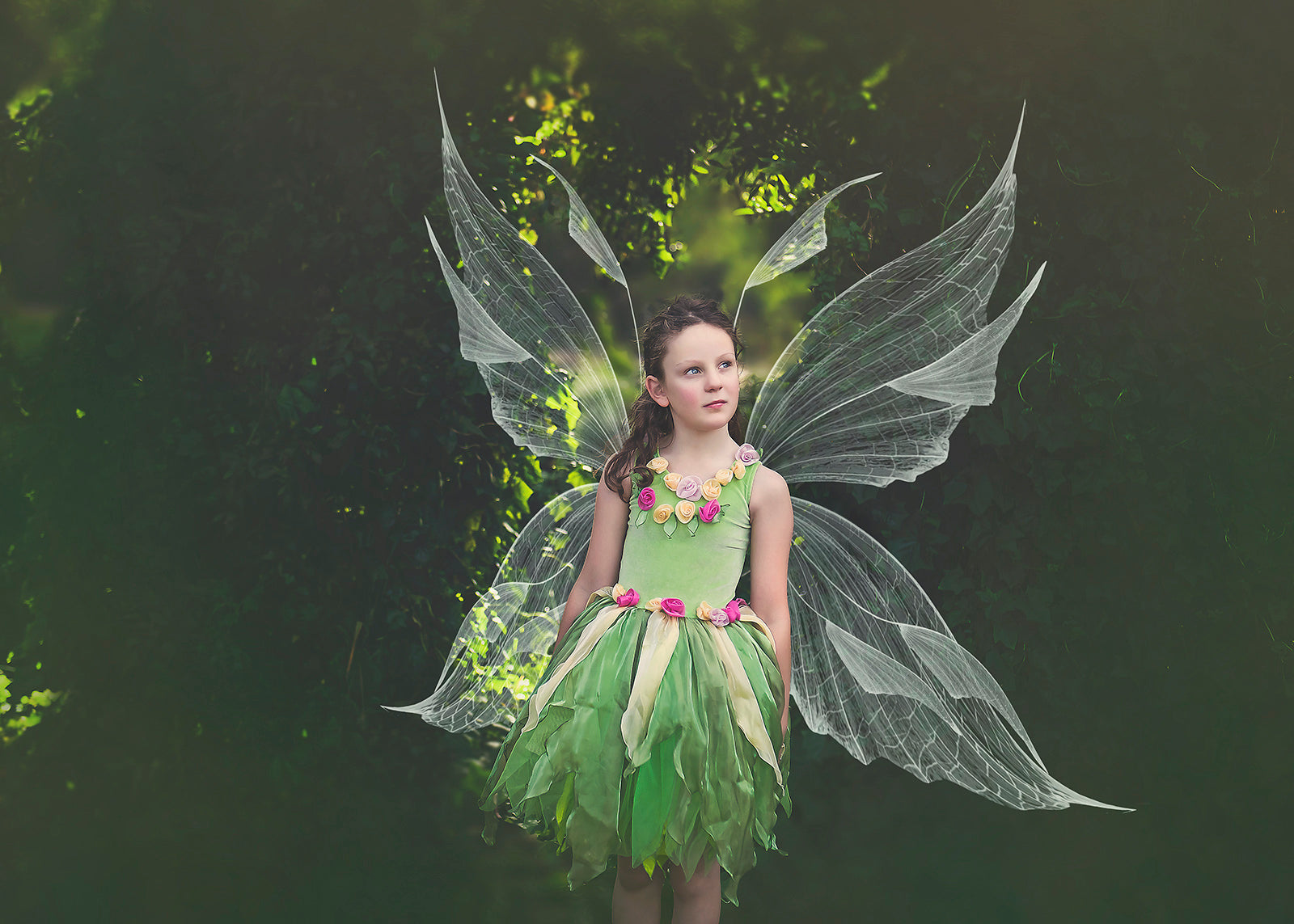 Digital Faery Wing Overlays. Png overlays for photoshop. Photography editing. High resolution, 300dpi fairy wings. Overlays for photography. Digital stock and resources. Graphic design. Fairy Photos. Colourful Fairy wings. Faerie Wings. ATP Textures. Overlays. Actions, Textures, Photo Resources, Photoshop. 