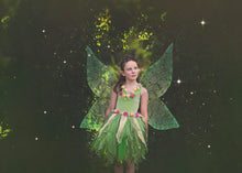 Load image into Gallery viewer, 20 Png FAIRY WING Overlays Set 4
